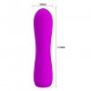 Mini wibrator sex masażer Pretty Love Beau